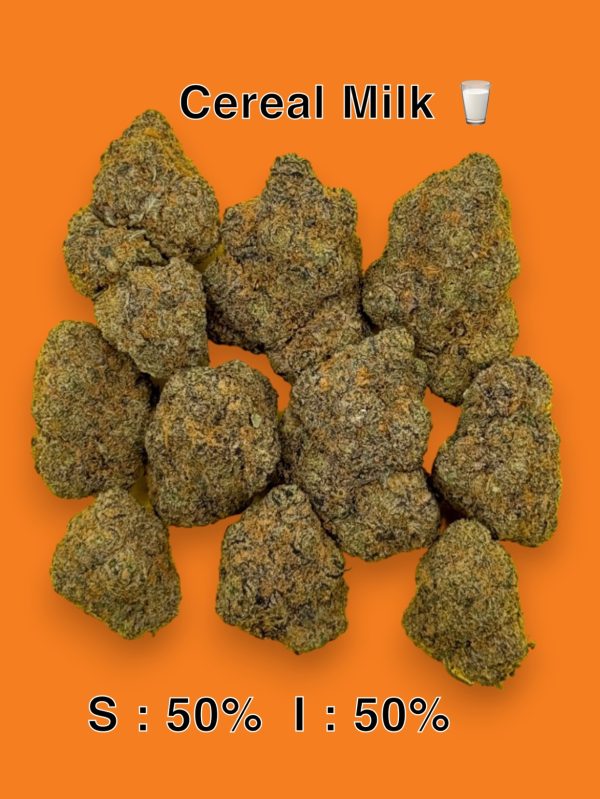 Cereal milk (5A)