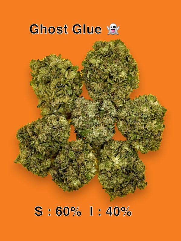 Ghost Glue - (2A)